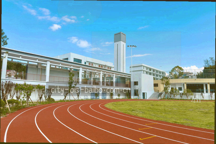会议桌上摊开的赛程资料与数据表格俯视画面