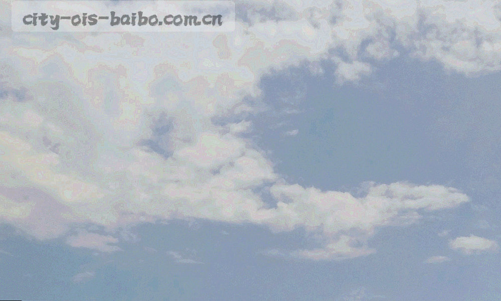 名录检索框与字段提示浮层的界面截取